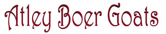 abg.jpg
